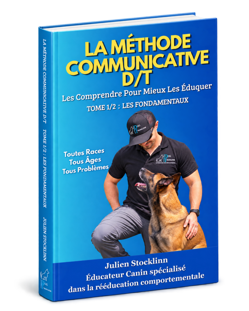 Couverture du tome 1 de la méthode communicative DT : Les fondamentaux
